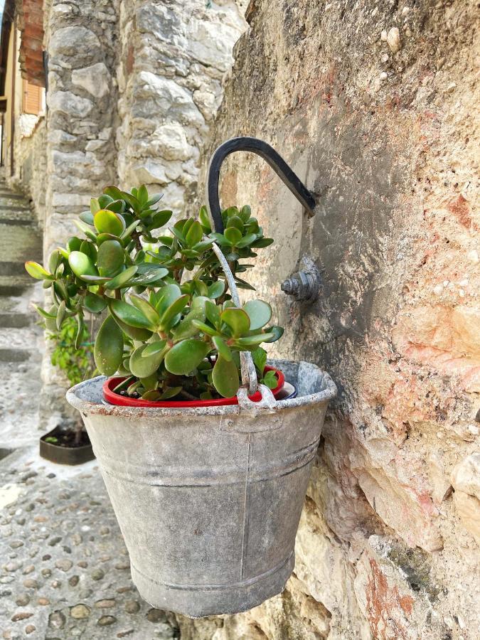 Le Due Terrazze Villa Brenzone sul Garda Buitenkant foto