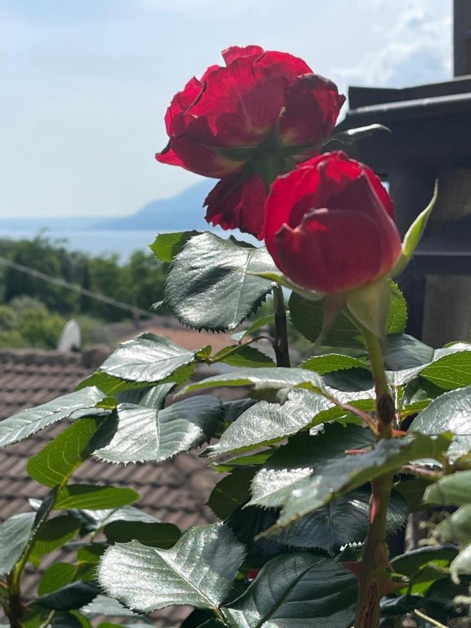 Le Due Terrazze Villa Brenzone sul Garda Buitenkant foto