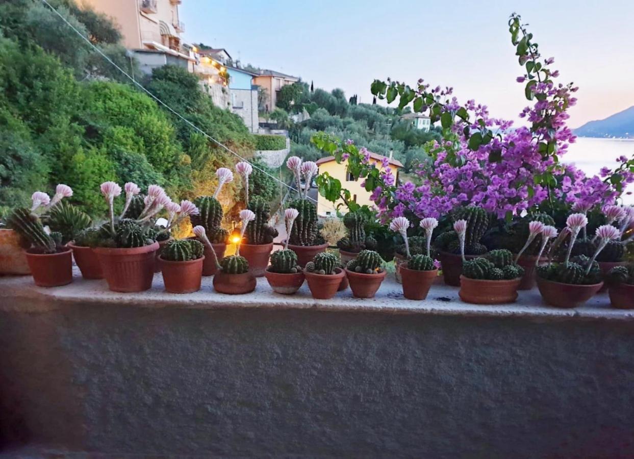 Le Due Terrazze Villa Brenzone sul Garda Buitenkant foto