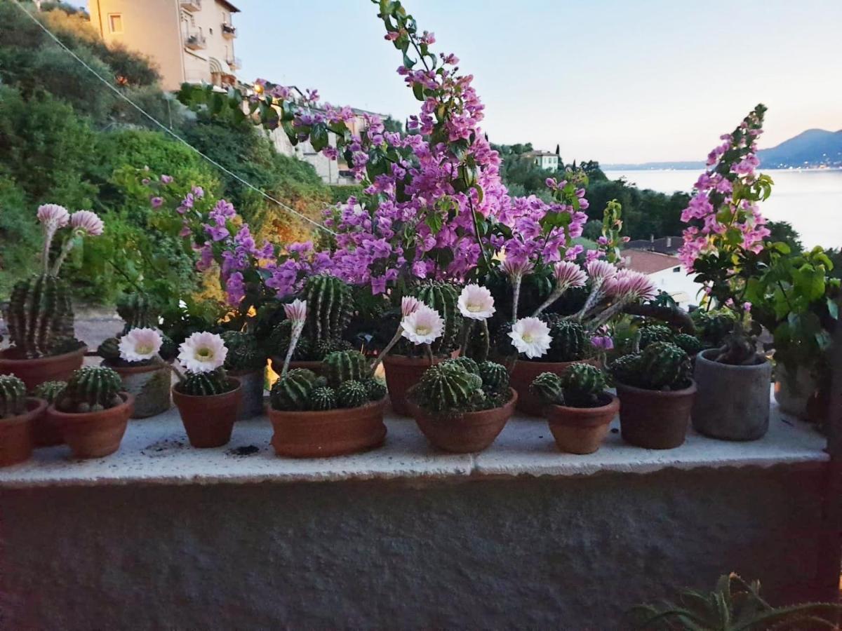 Le Due Terrazze Villa Brenzone sul Garda Buitenkant foto