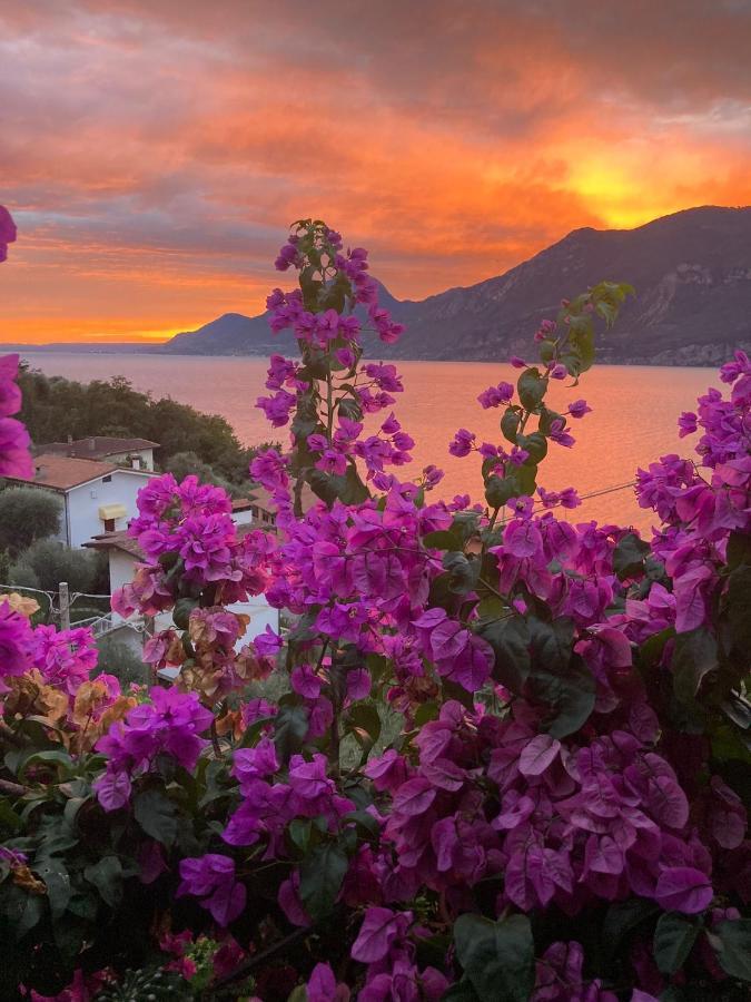 Le Due Terrazze Villa Brenzone sul Garda Buitenkant foto